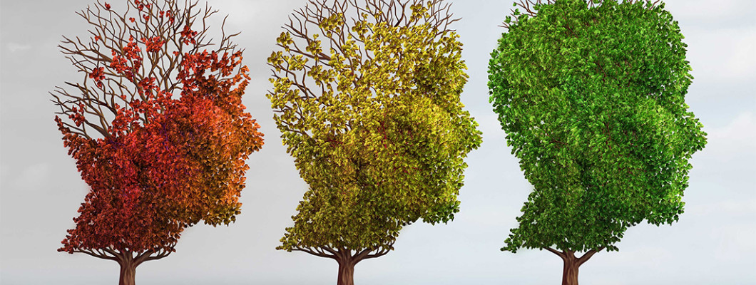 ASTAXANTHIN BENEFITS HELPS PREVENT ALZHEIMER’S ASTAXANTHIN BENEFITS HELPS PREVENT ALZHEIMER’S